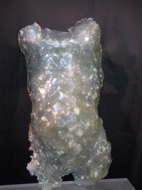 skin2-a